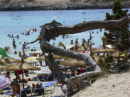 thm_CalaRajadaMallorca (4).jpg